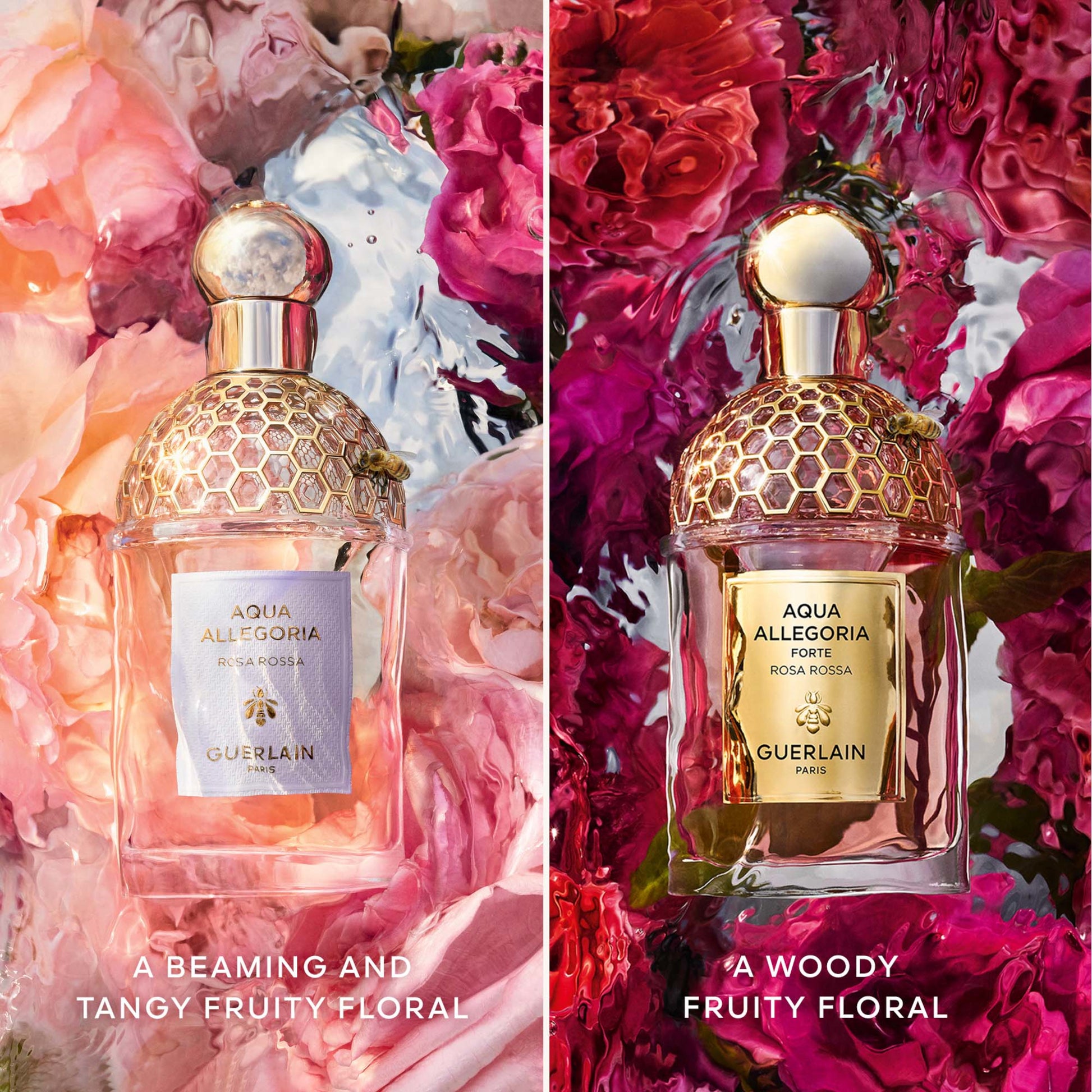 GUERLAIN Aqua Allegoria Forte Rosa Rossa Eau de Parfum Spray
