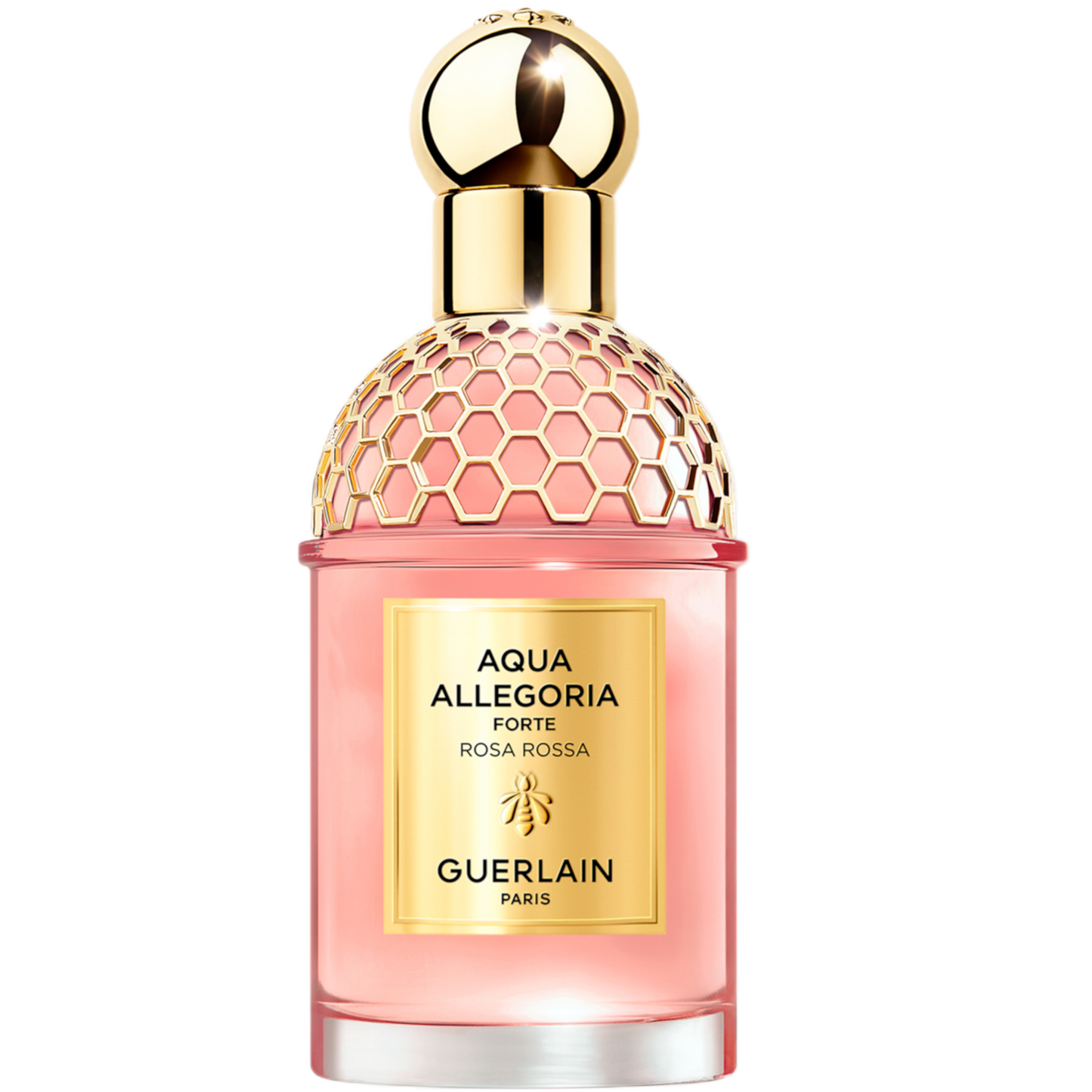 aquaallegoria089