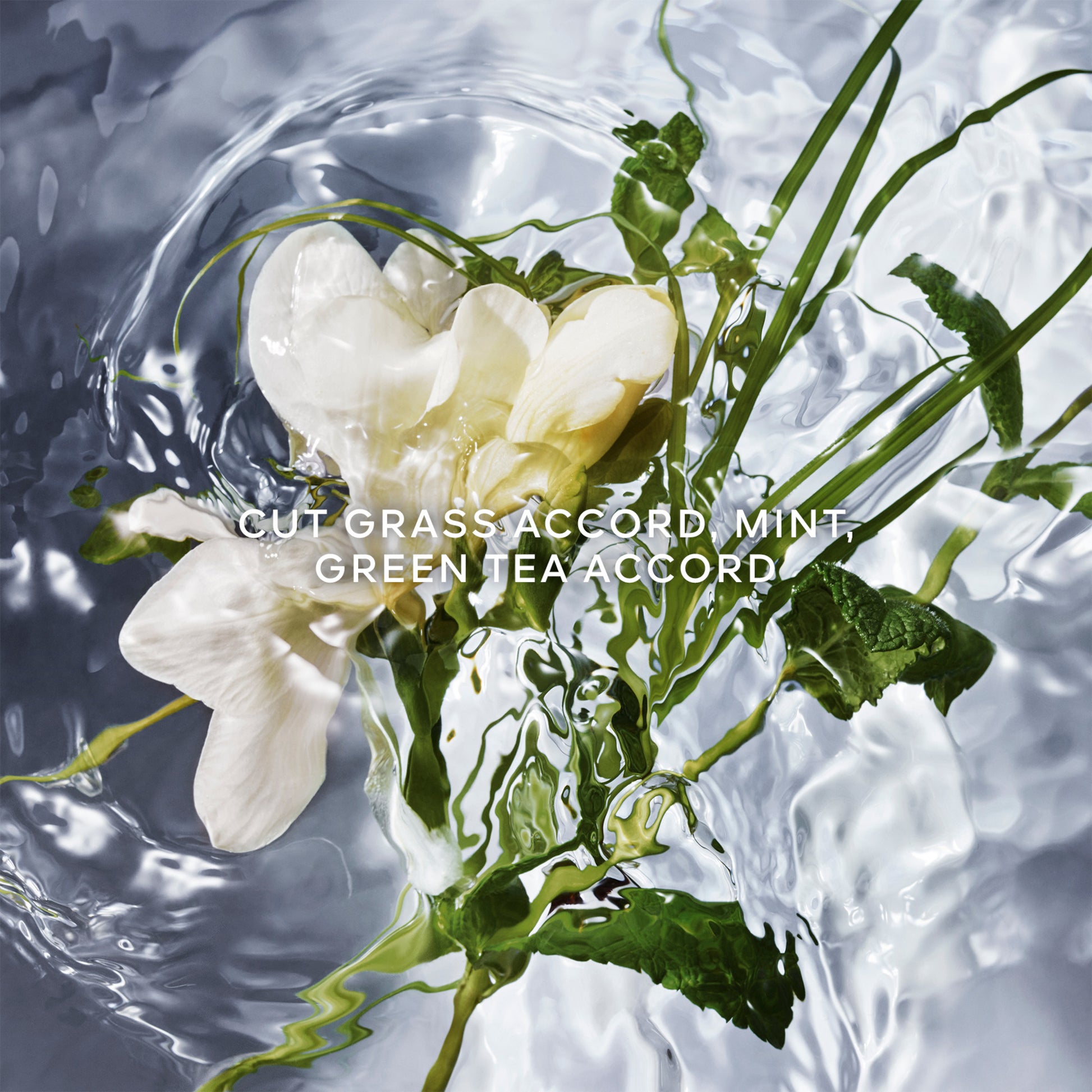 GUERLAIN Aqua Allegoria Herba Fresca Eau de Toilette Spray