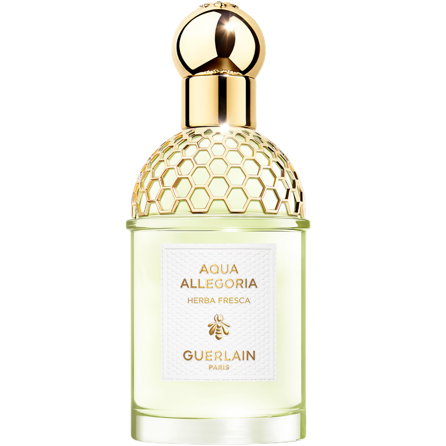 aquaallegoria03