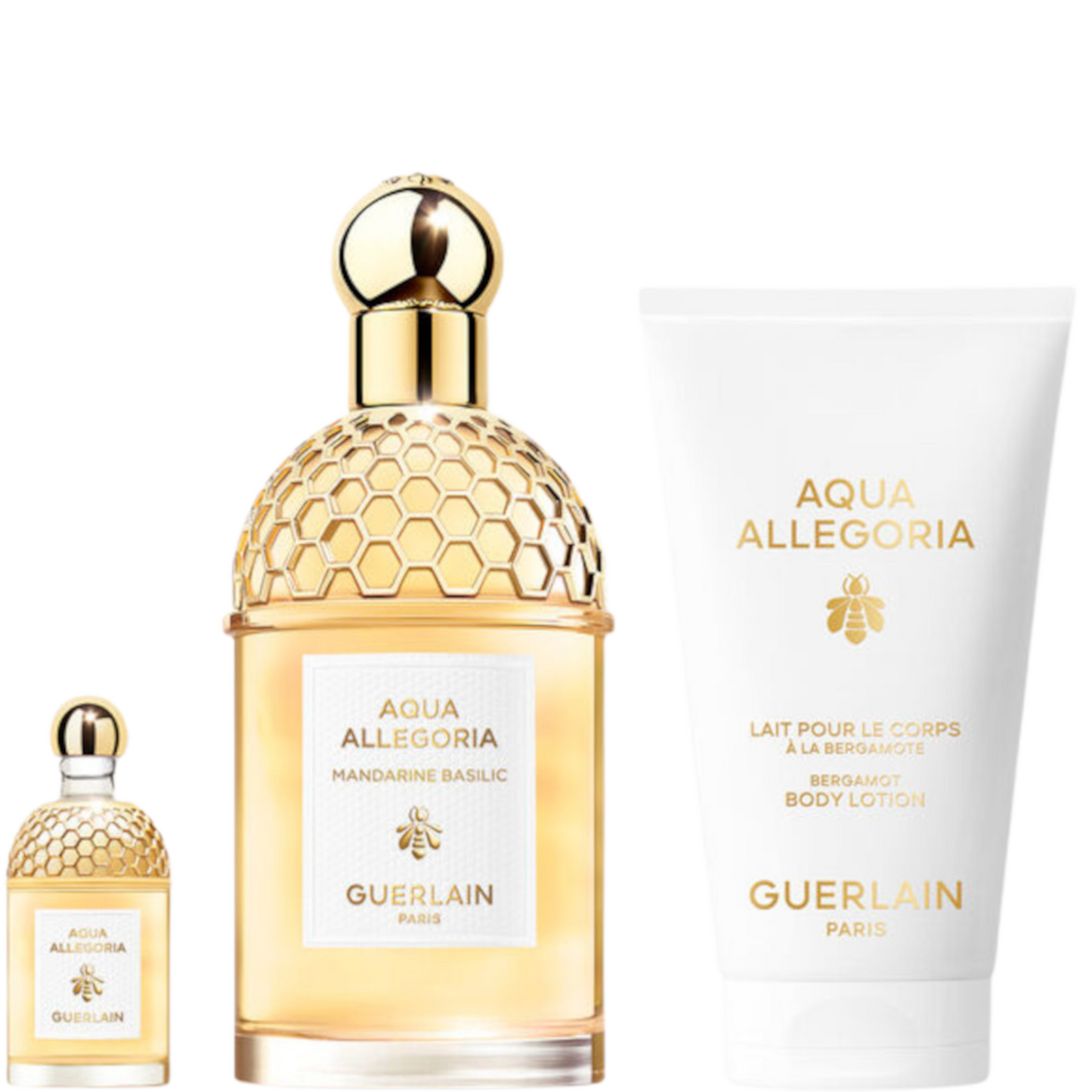 aquaallegoria139