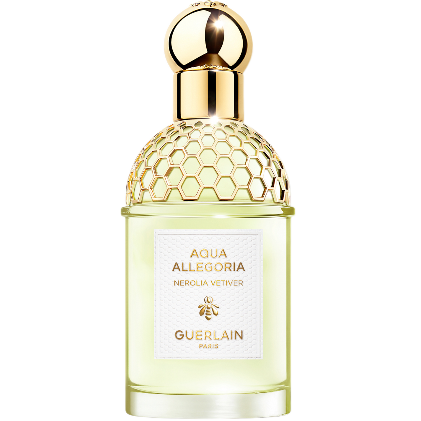 aquaallegoria084