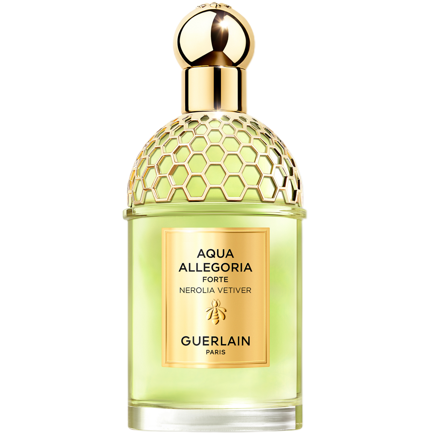 aquaallegoria099