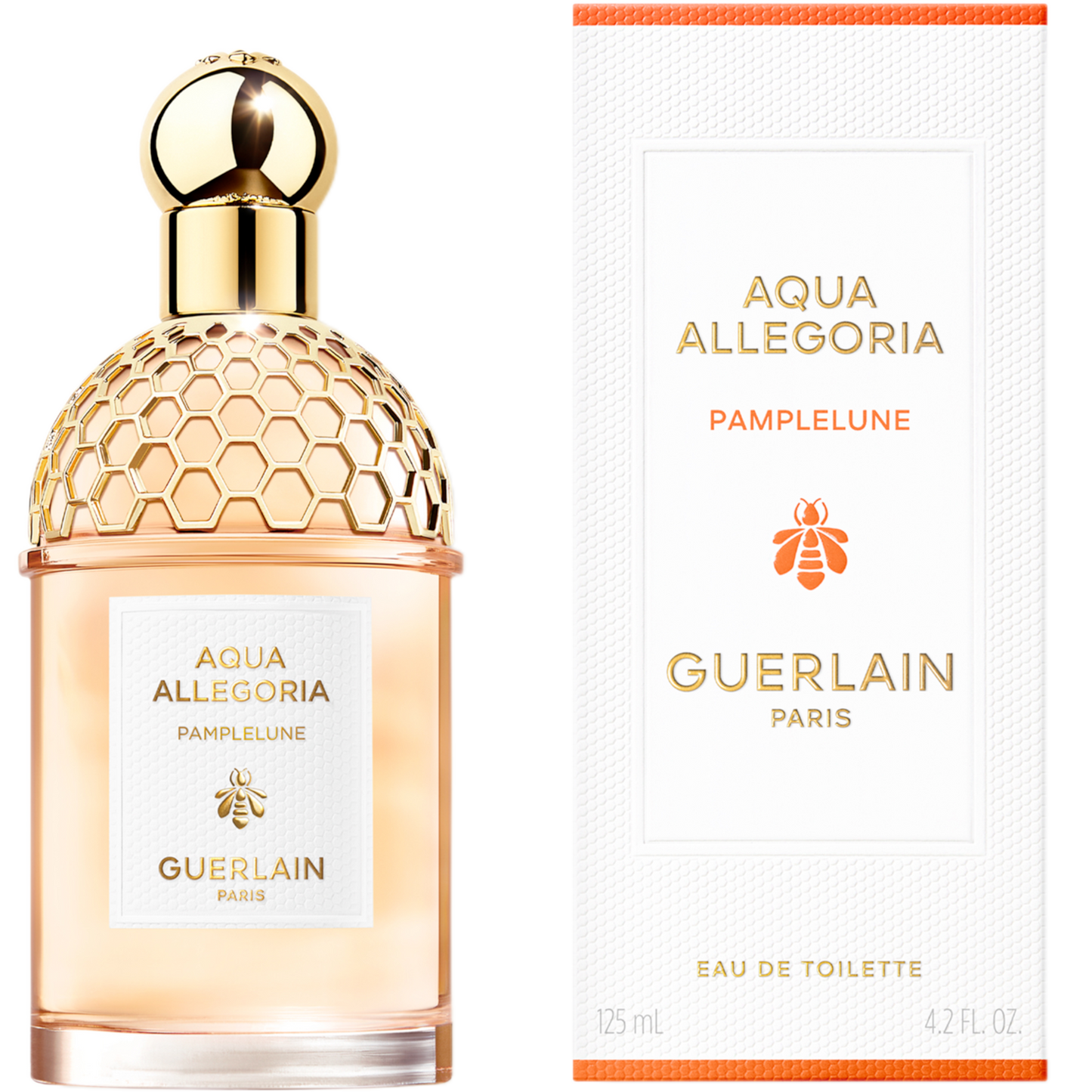 aquaallegoria073