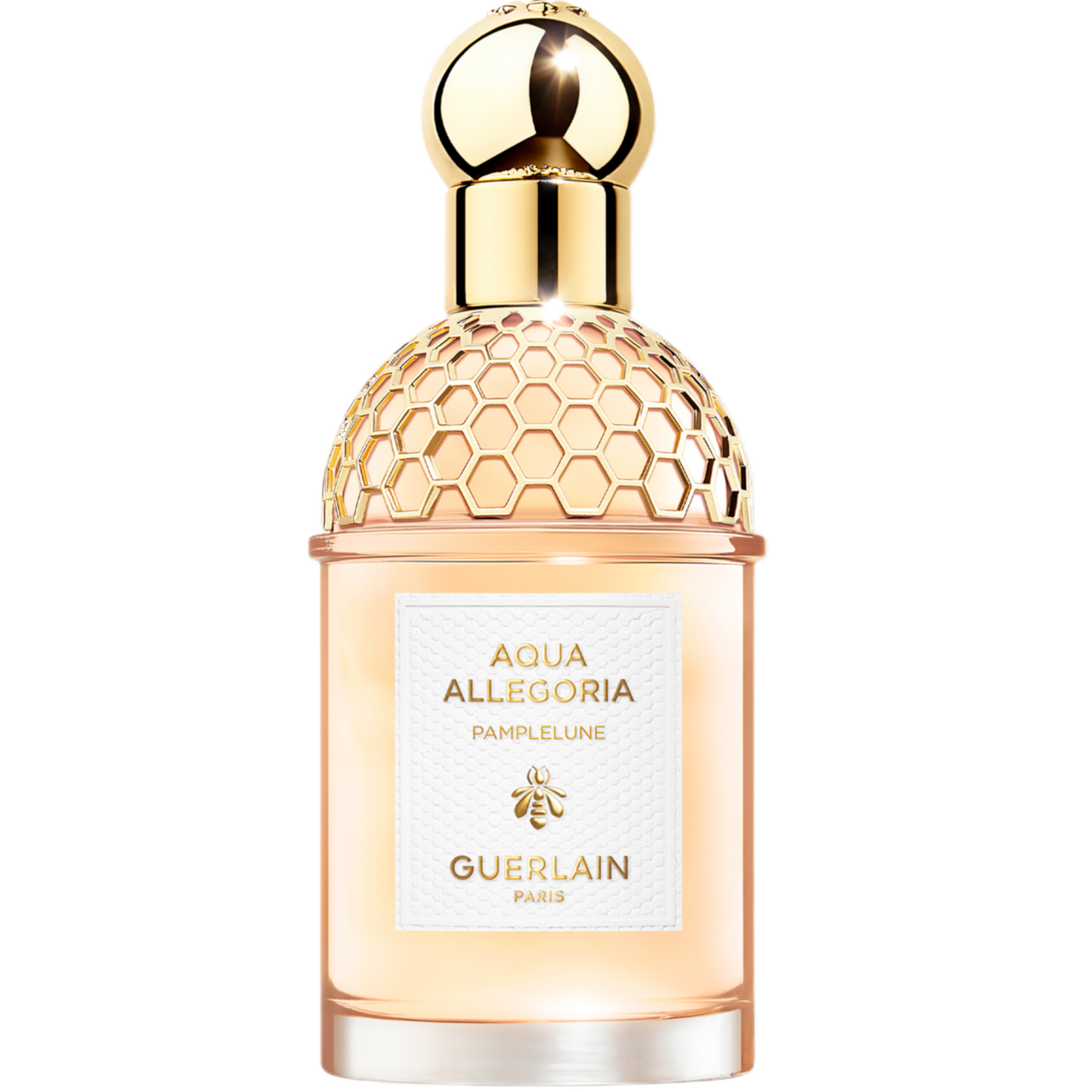 aquaallegoria02