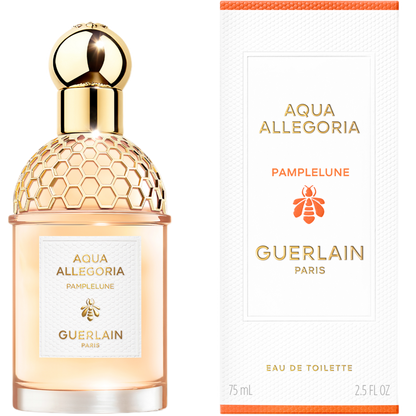 aquaallegoria02
