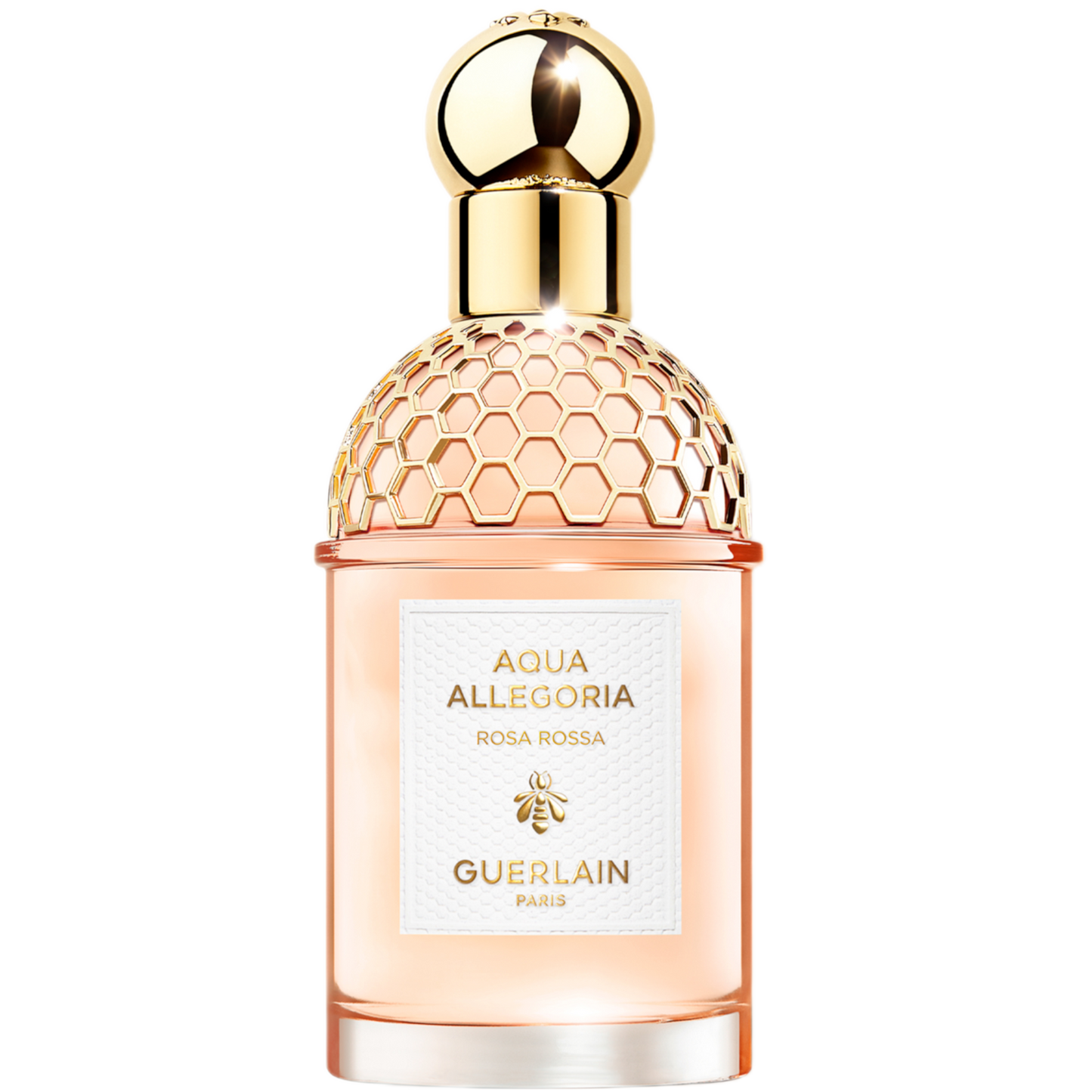 aquaallegoria079