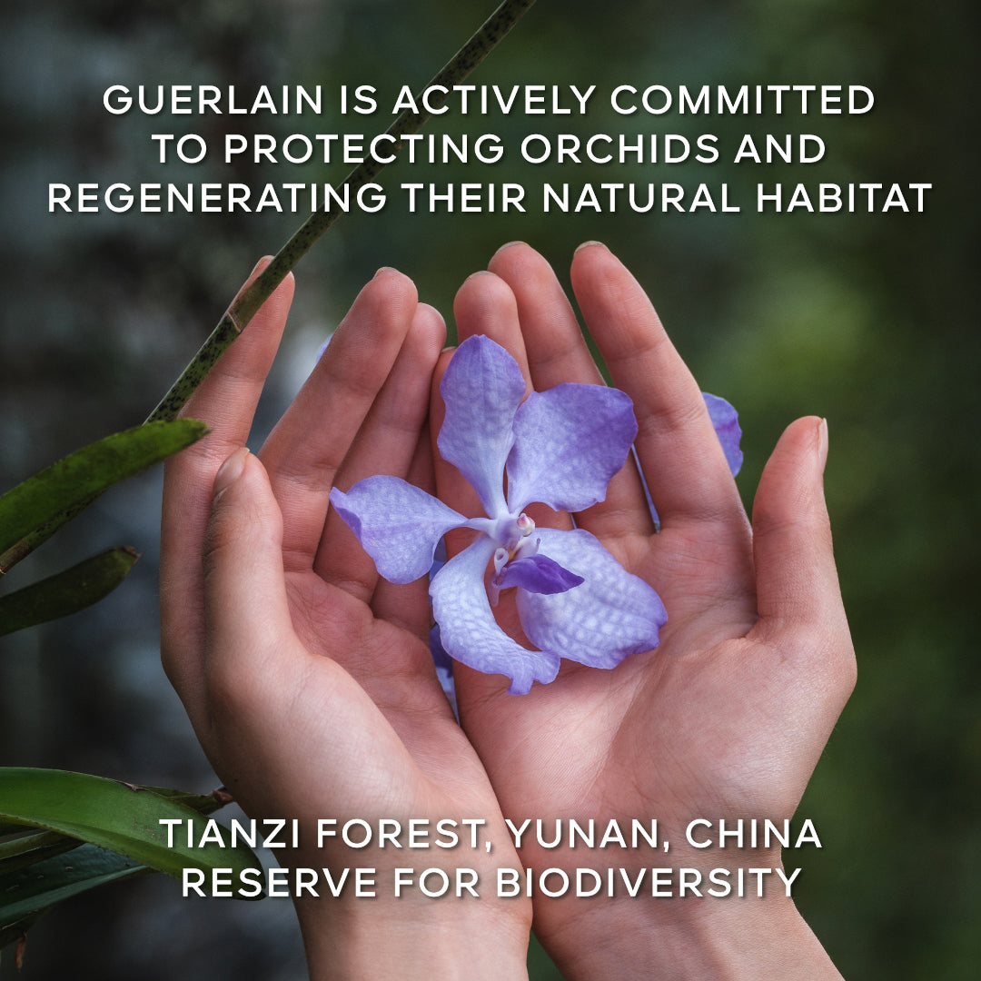 GUERLAIN Orchidee Imperiale Longevity Cream Refill