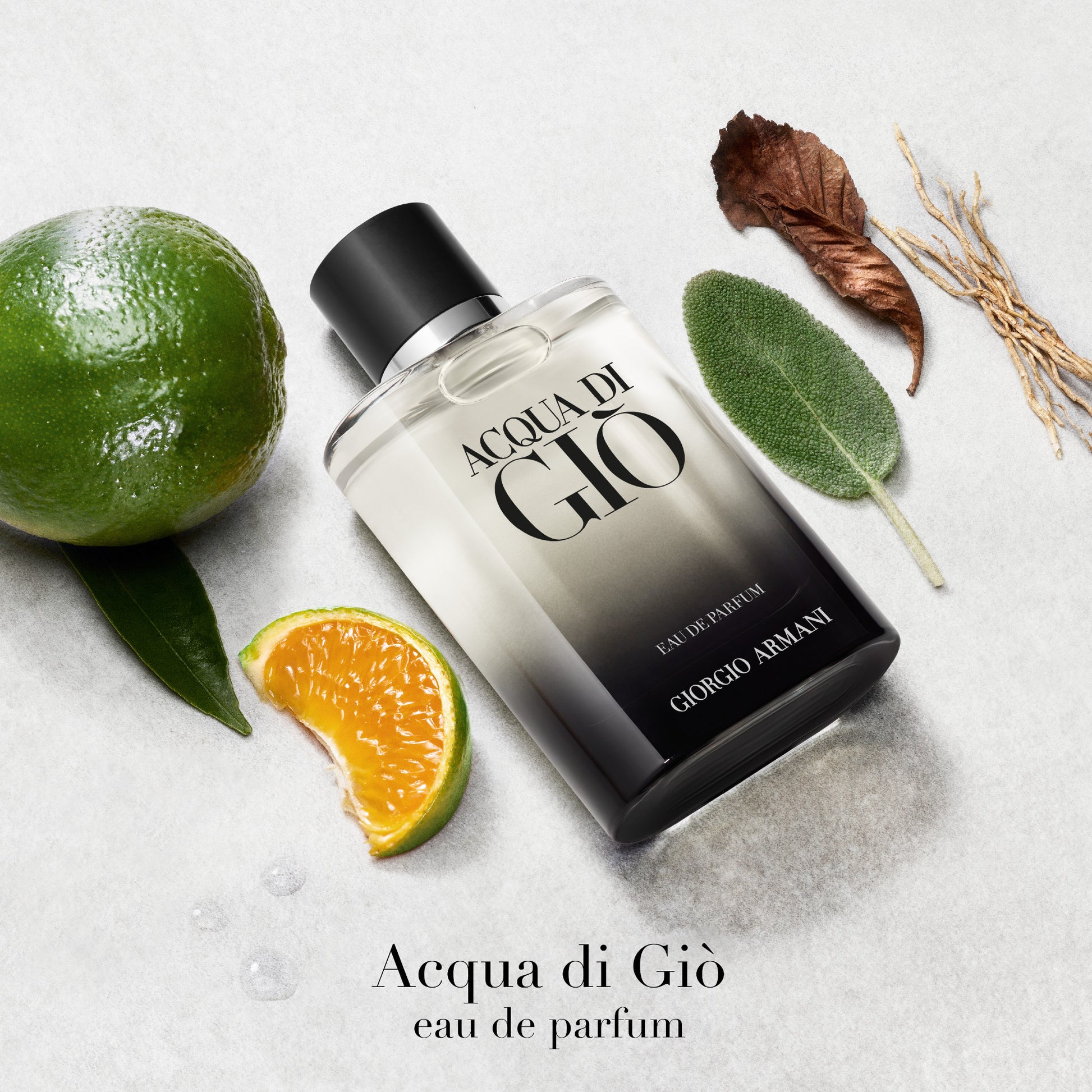 Giorgio Armani Acqua di Gio Eau de Parfum