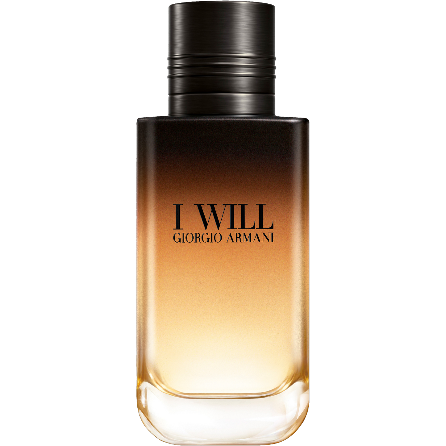 armaniiwill002