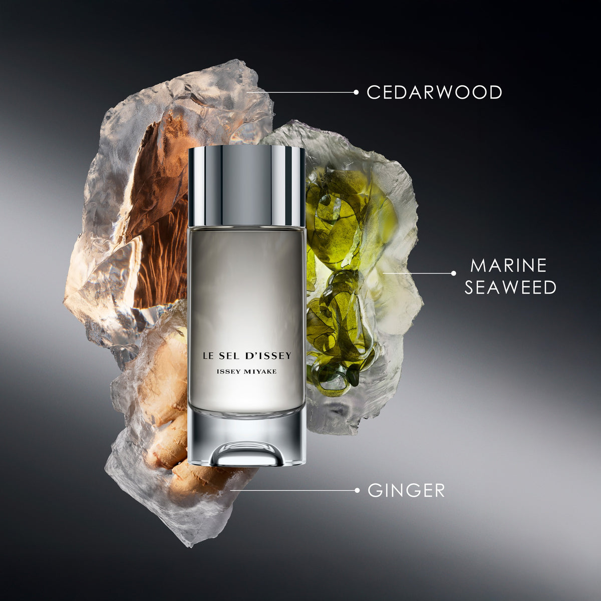 Issey Miyake Le Sel d'Issey Eau de Toilette Spray 50ml Gift Set