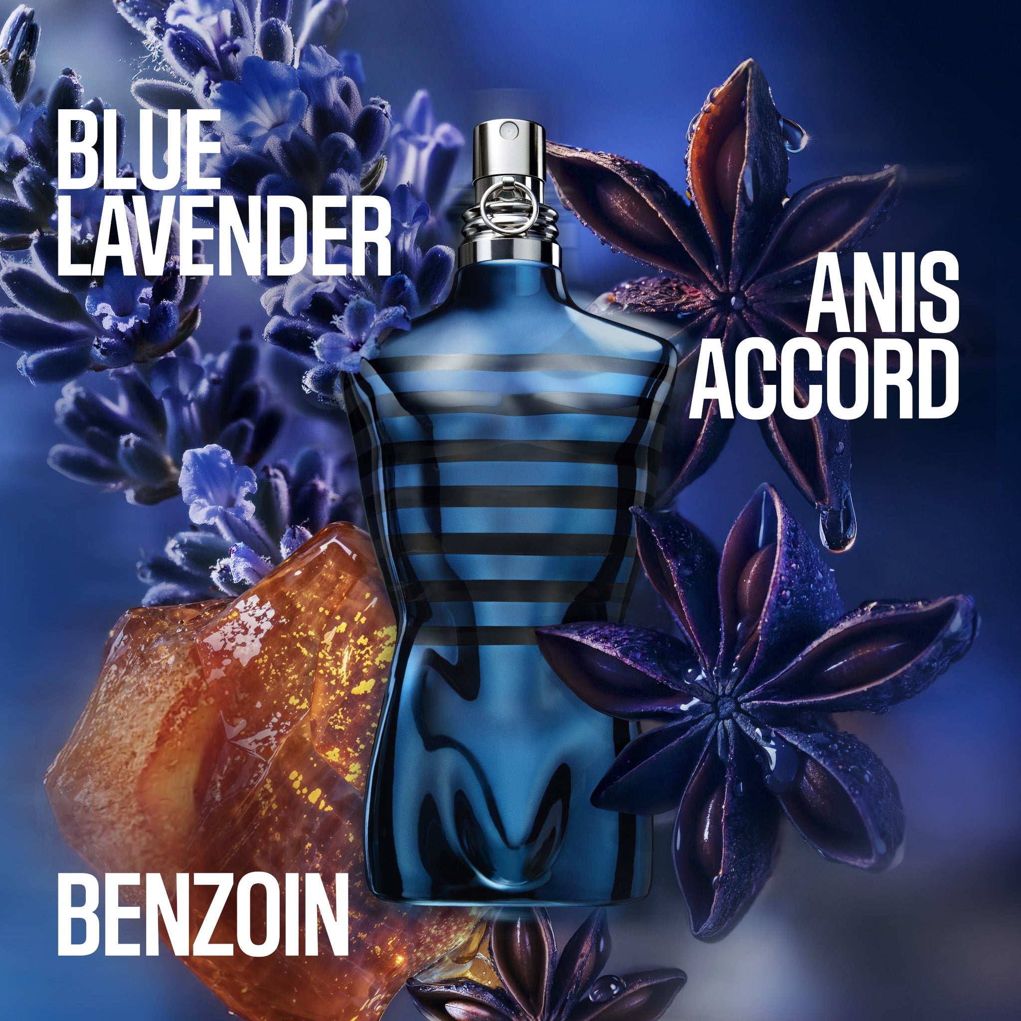 Jean Paul Gaultier Le Male In Blue Eau de Parfum Spray – Escentual