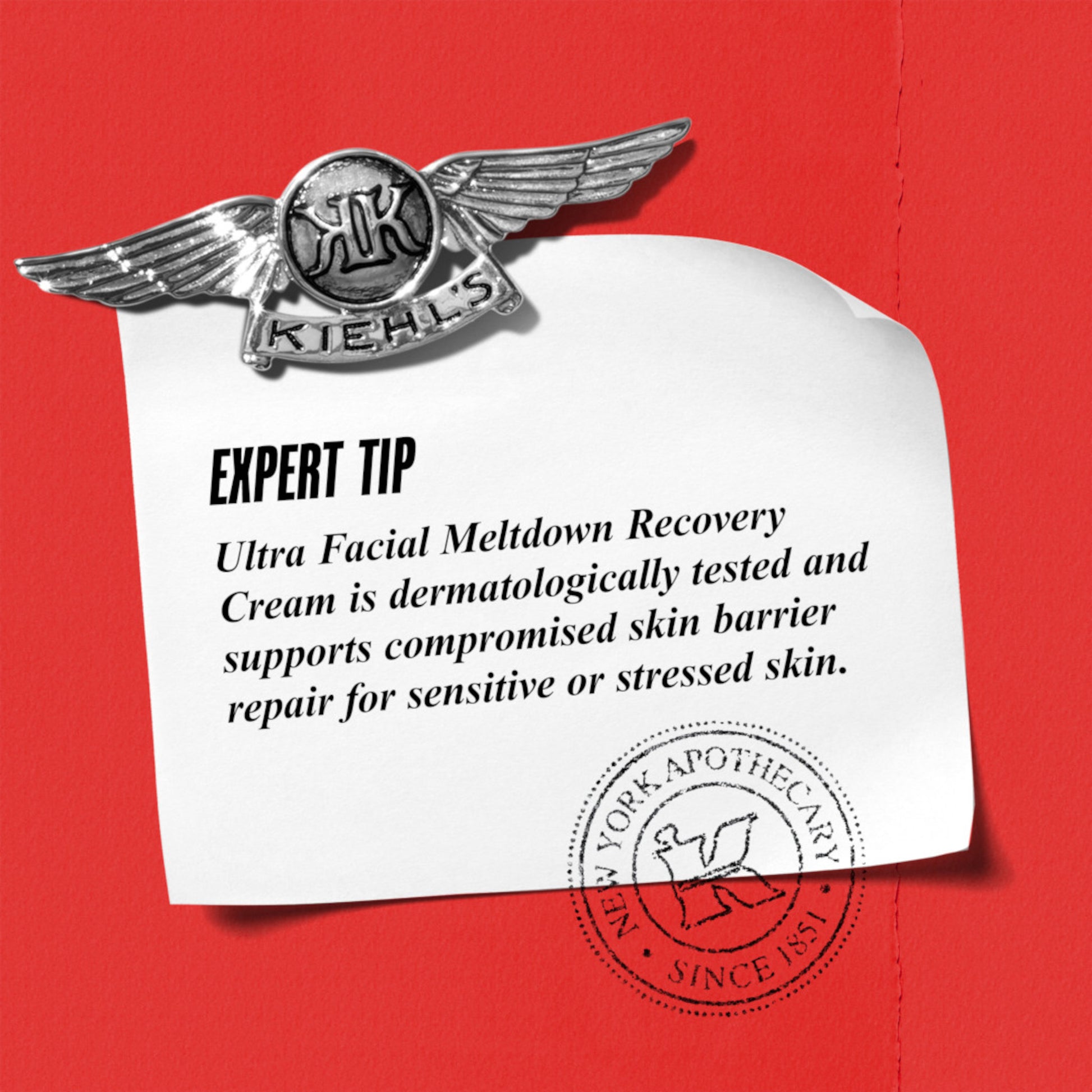 Kiehl's Ultra Facial Meltdown Recovery Cream