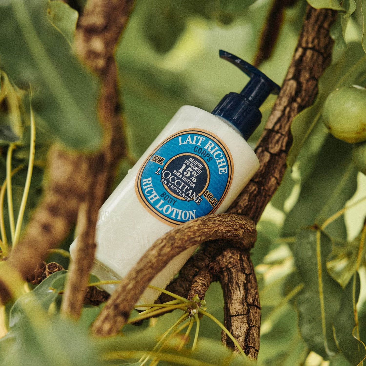 L'Occitane Shea Butter Rich Body Lotion