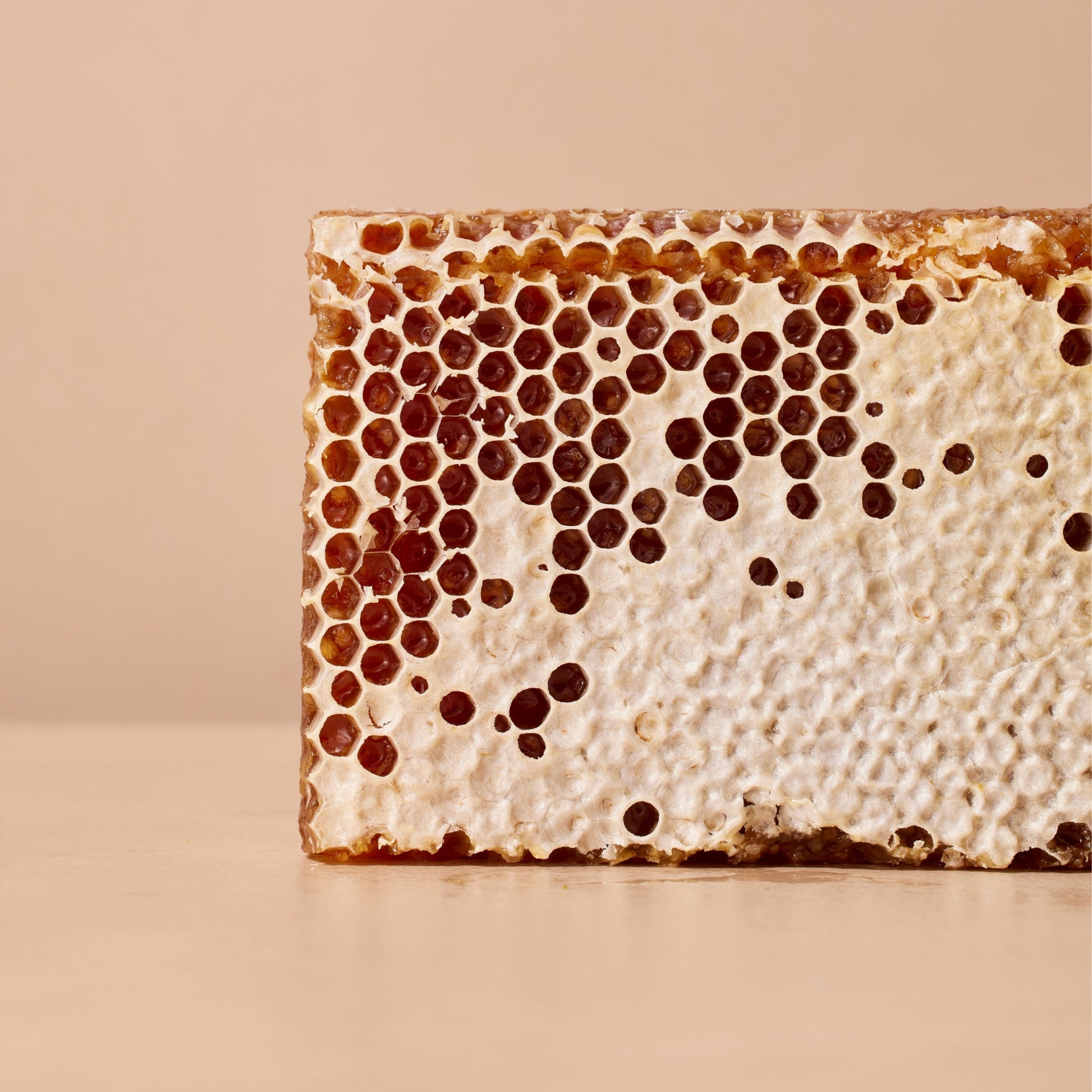 Mustela Nourishing Lotion With Cold Cream for Dry Skin