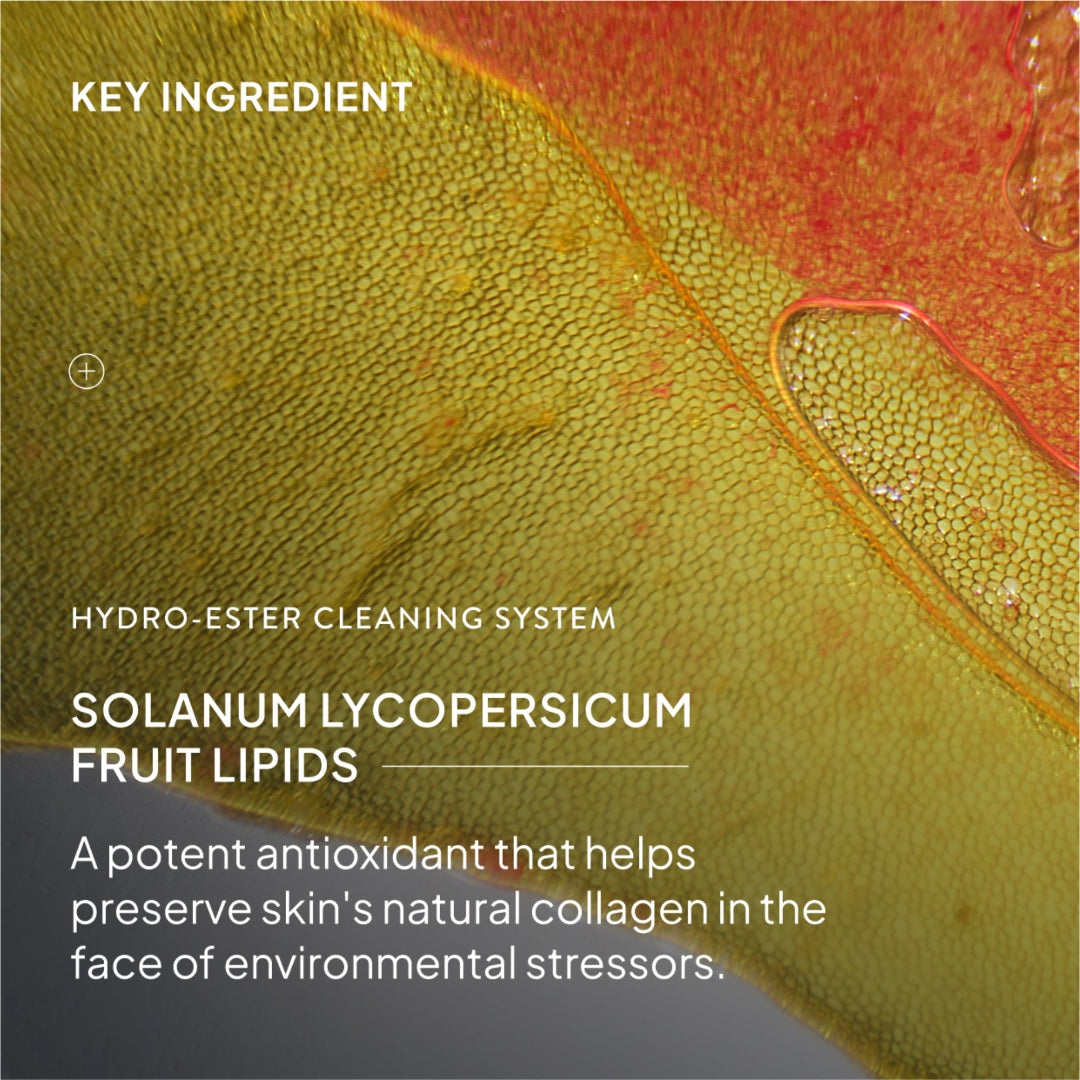 NIOD Hydro-Ester Cleaning System (HECS)