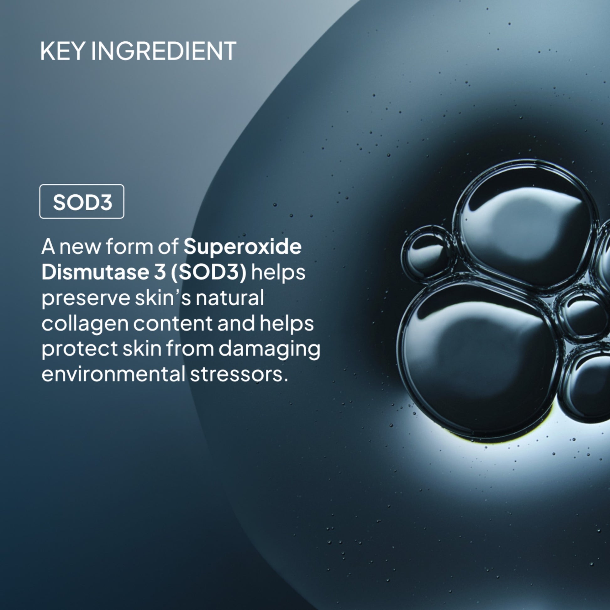 NIOD Superoxide Dismutase 3 Enzyme Mist (SDEM3)