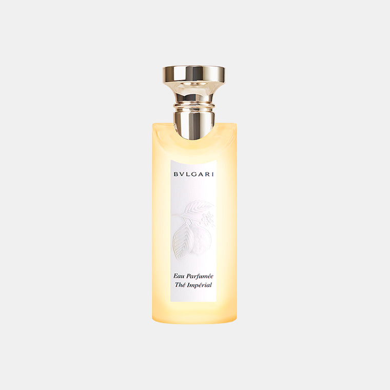 New Launches