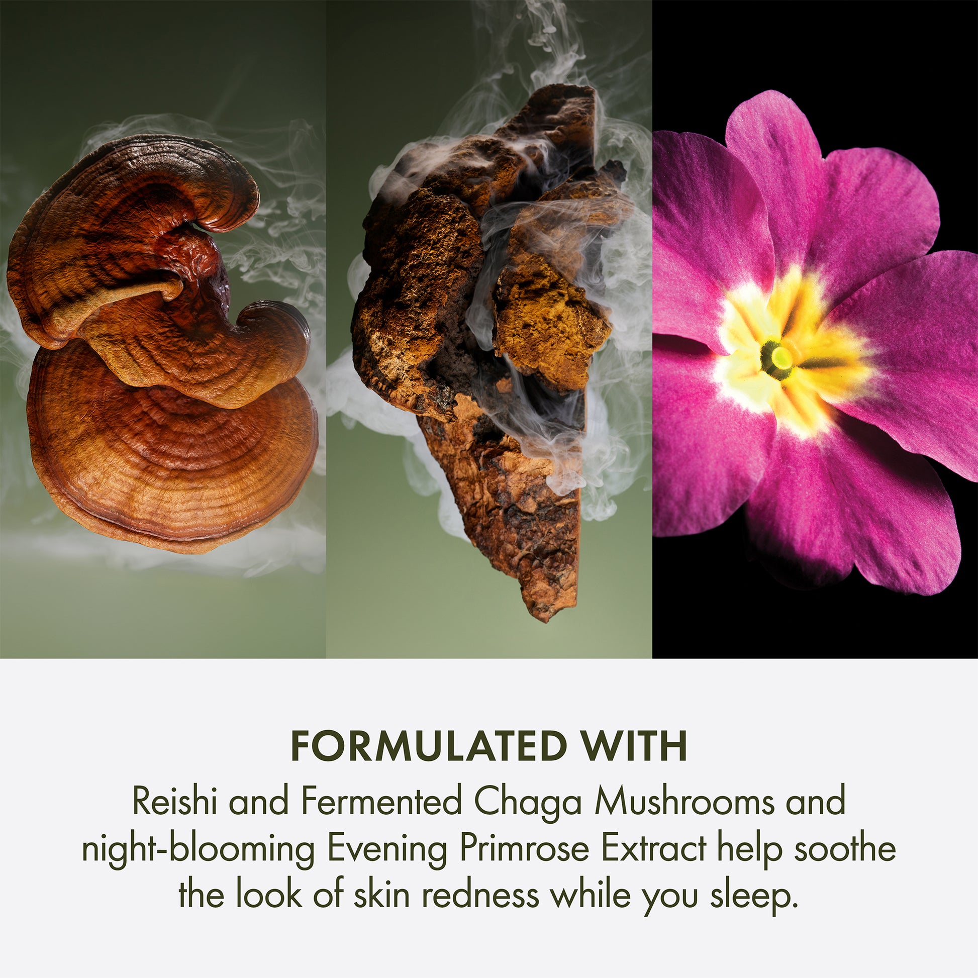 Origins Mega-Mushroom Overnight Recovery Cream