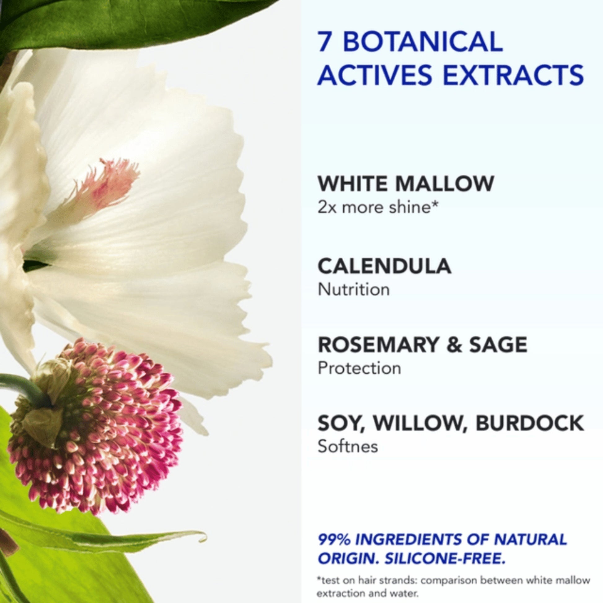 Phyto Phyto 7 Universal Day Cream