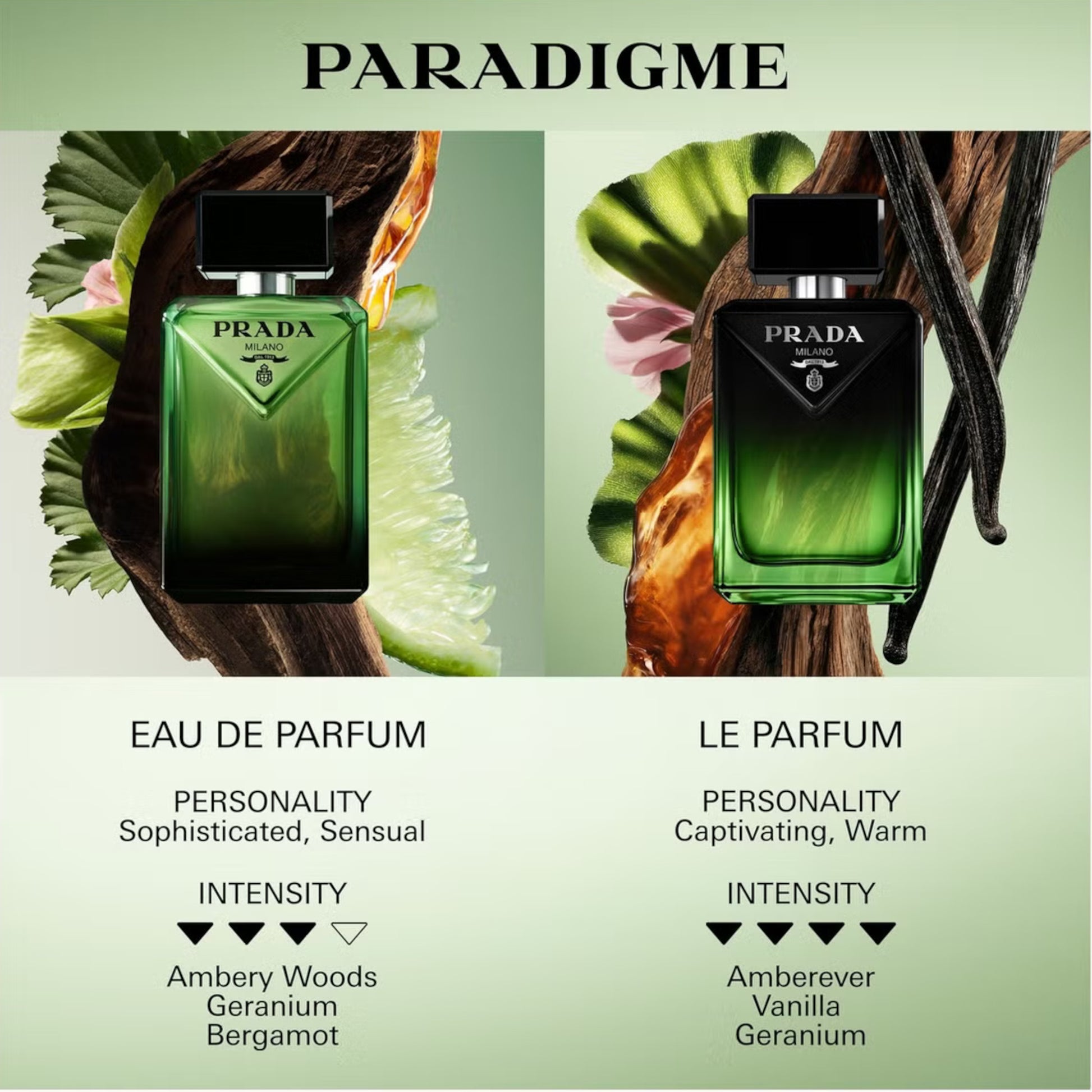 Prada Paradigme Le Parfum