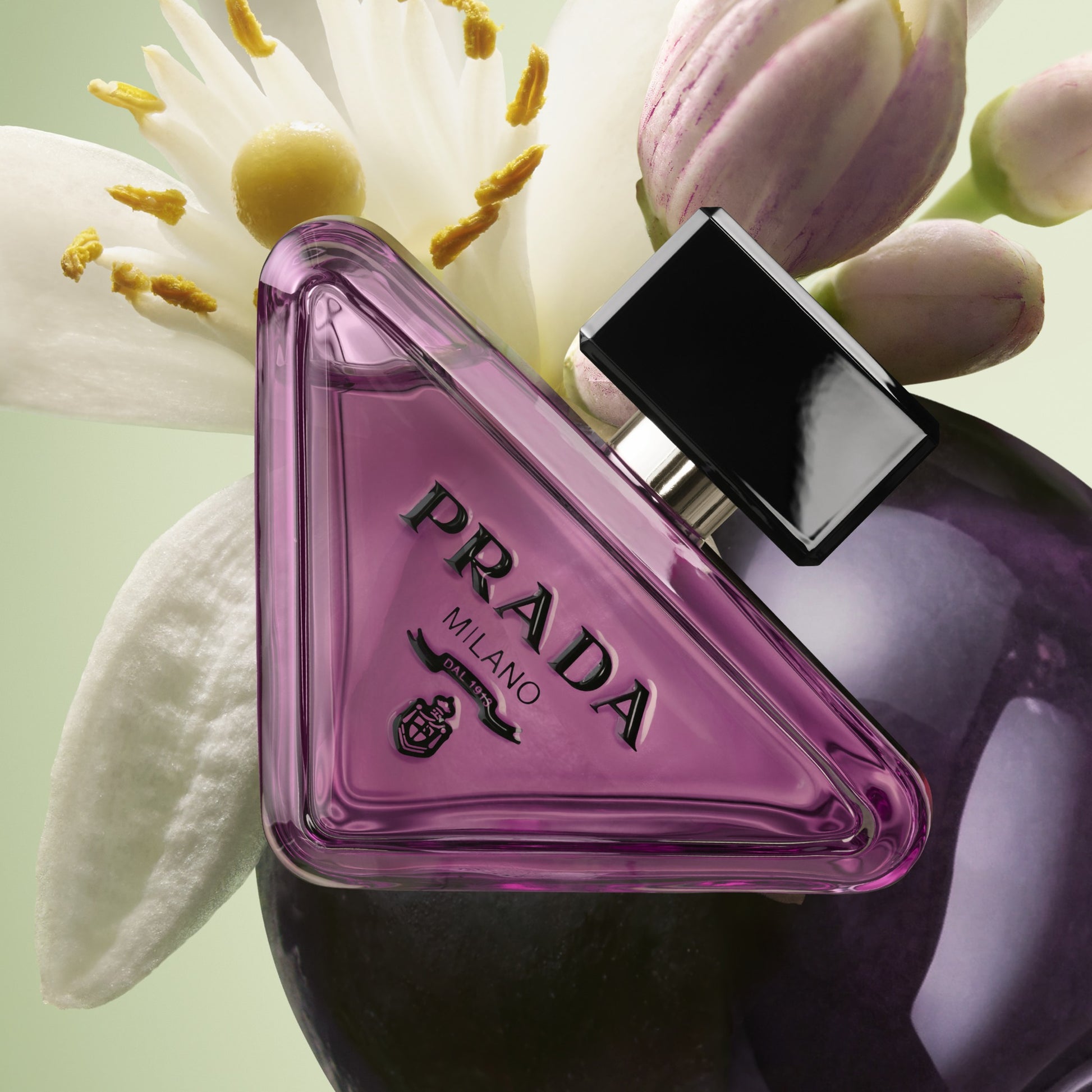 Prada Paradoxe Sweet Chemistry Eau de Parfum