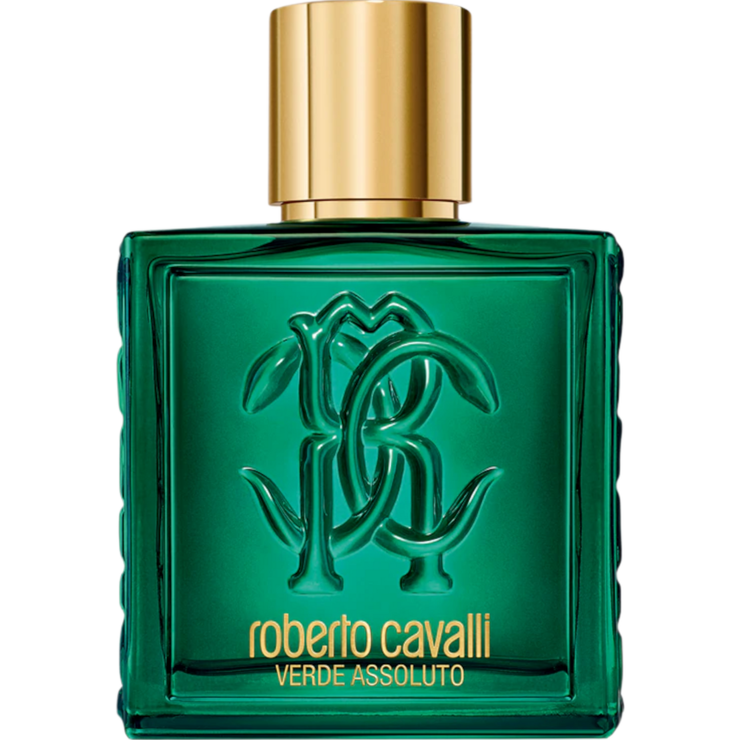 cavalliuomo002