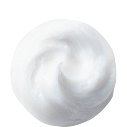 shiseido303