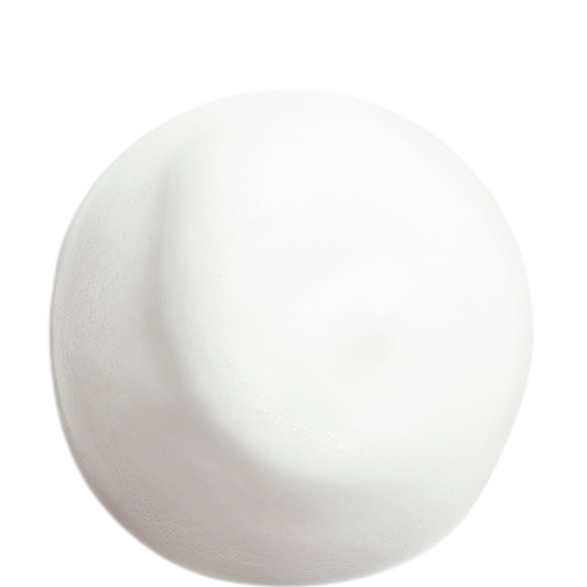 Shiseido Complete Cleansing Microfoam