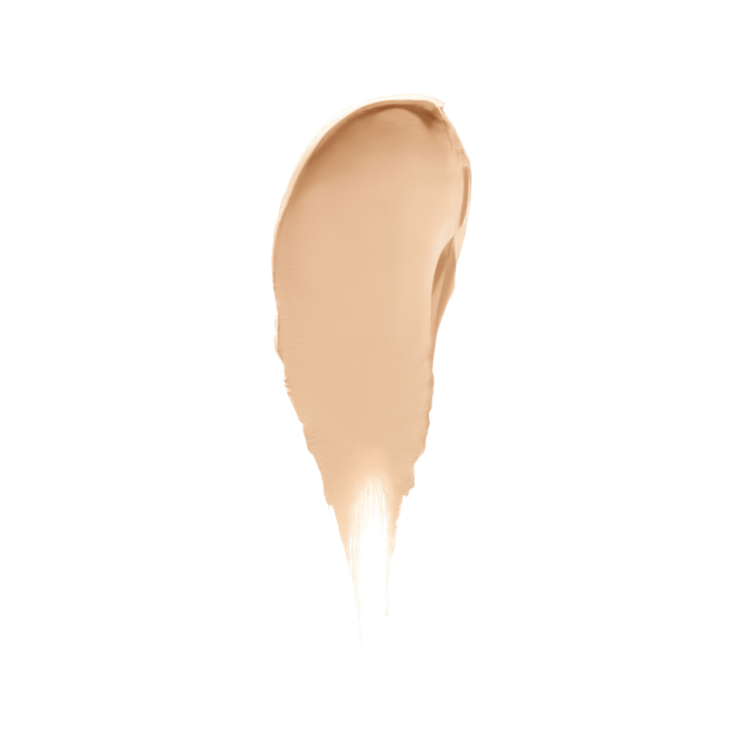 Shiseido Synchro Skin Radiant Lifting Concealer