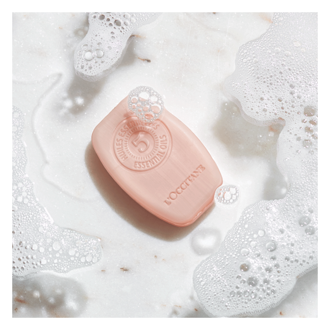 L'Occitane Purifying Freshness Solid Shampoo