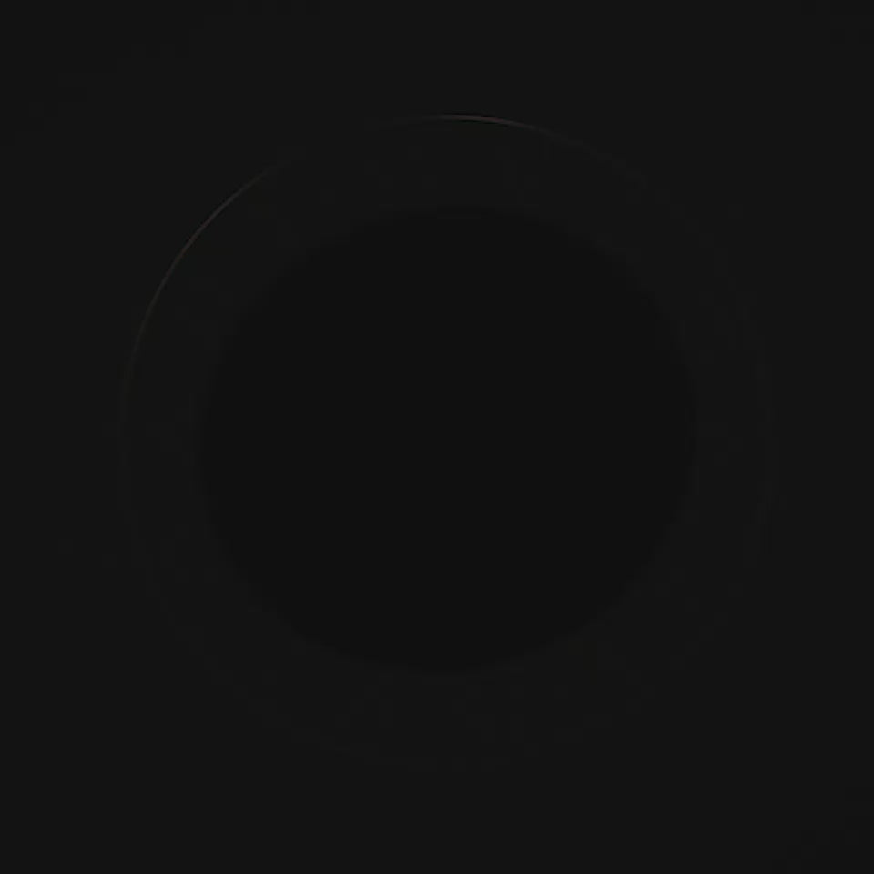 BVLGARI Man Wood Essence Parfum