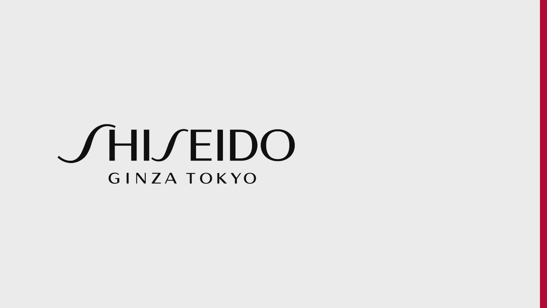 Shiseido Clear Suncare Stick SPF50+