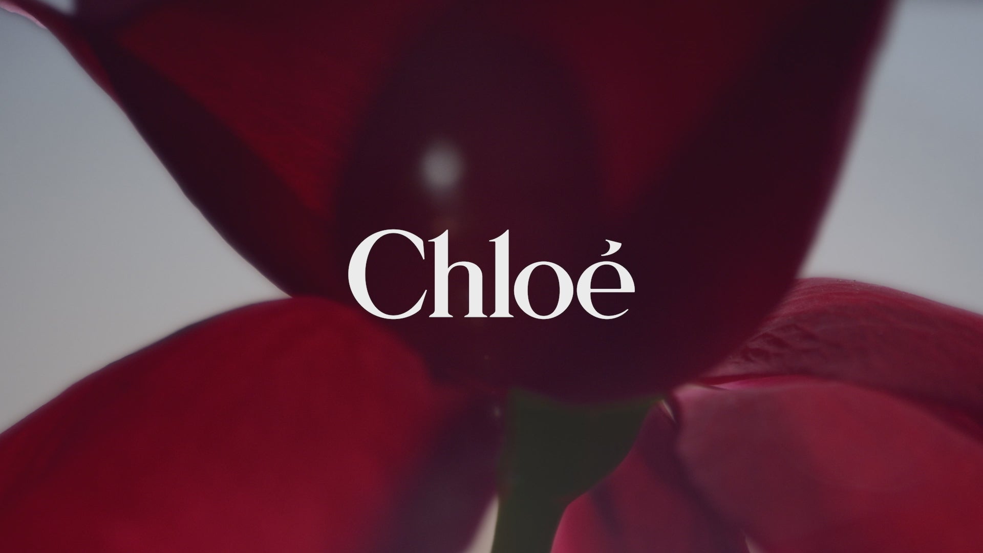 Chloe Le Parfum
