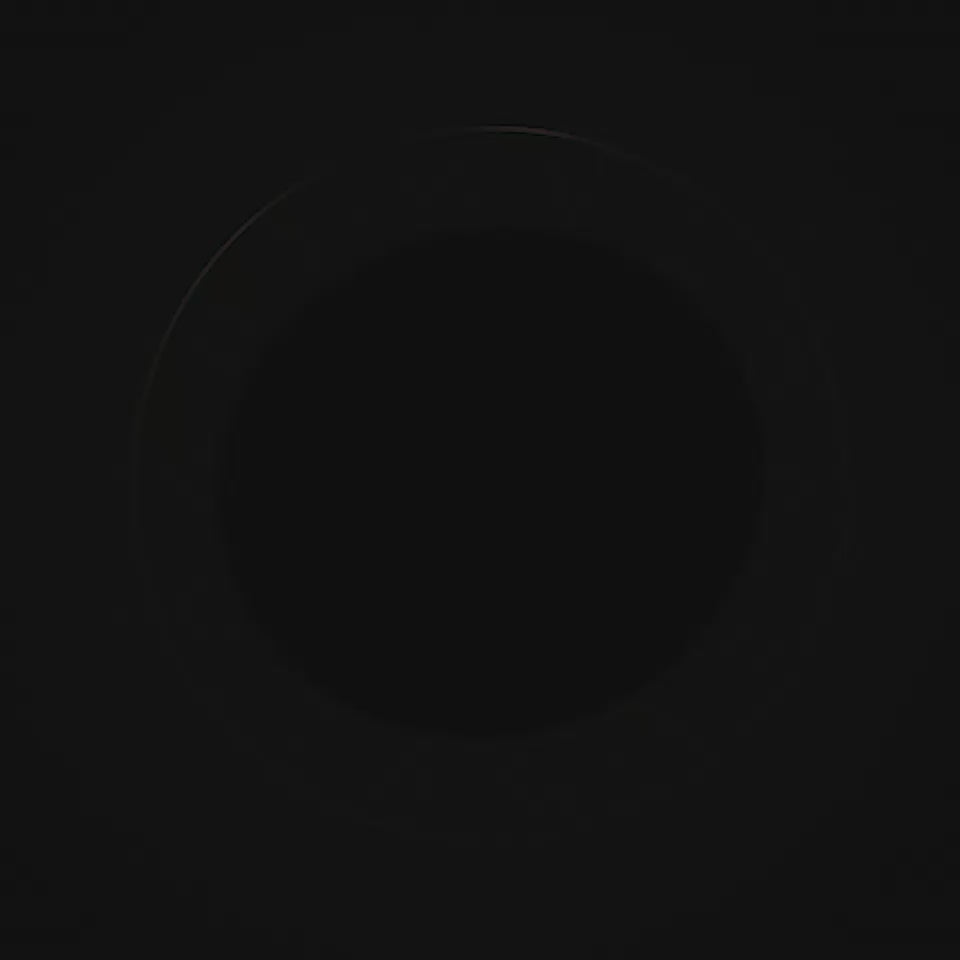 BVLGARI Man In Black Parfum Spray