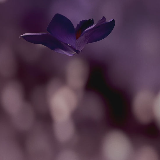 lifestyle