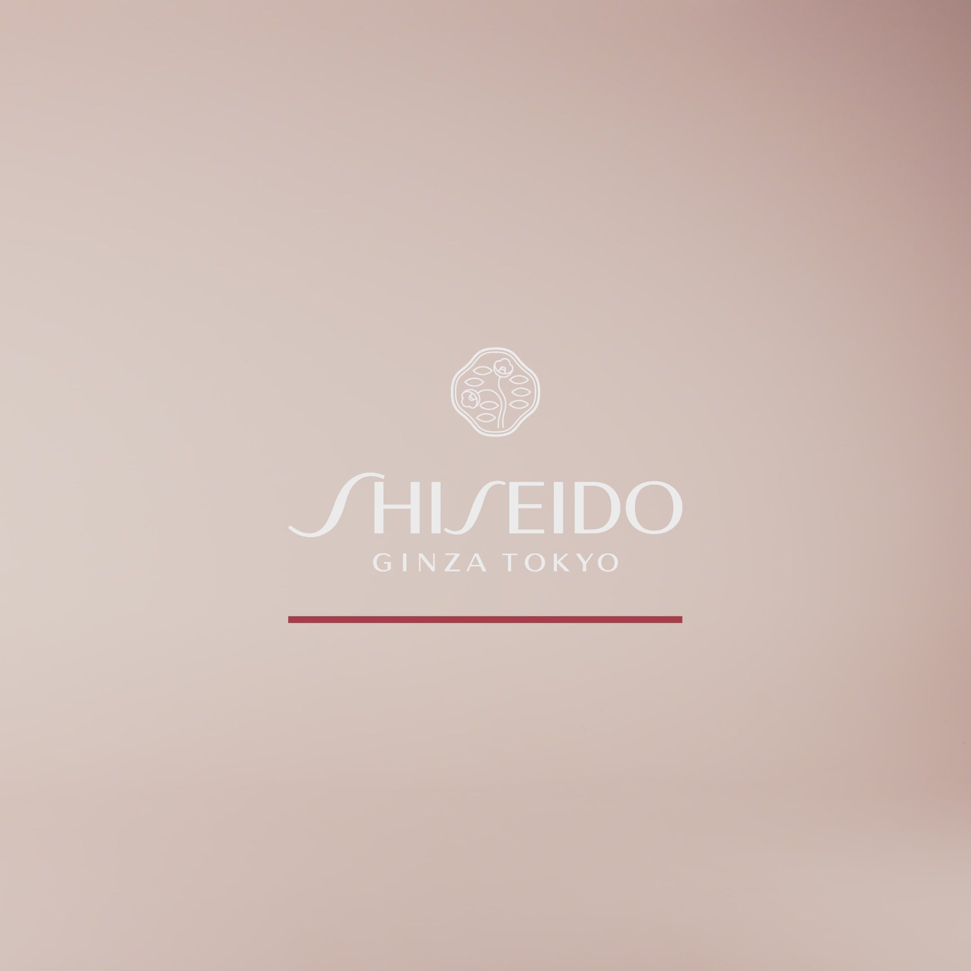 Shiseido Benefiance Wrinkle Smoothing Contour Serum