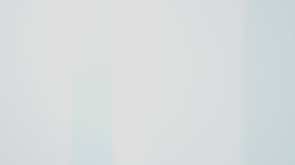 Shiseido Instant Eye and Lip Make-Up Remover