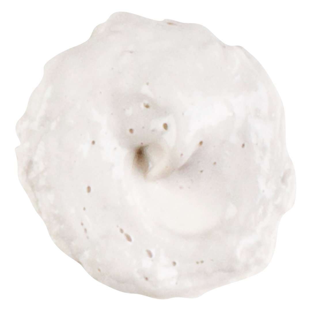 Kiehl's Rare Earth Deep Pore Daily Cleanser