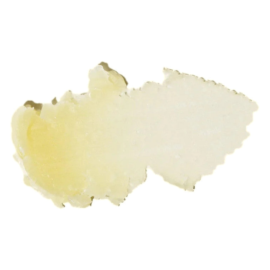 Sun Bum CocoBalm Lip Balm