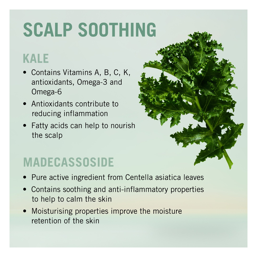 Schwarzkopf Professional BC Bonacure Scalp Soothing Shampoo