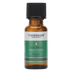 20ml